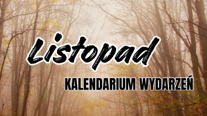 KALENDARIUM WYDARZEŃ – LISTOPAD #11